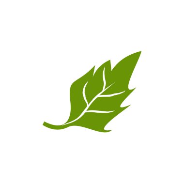 Doğal yaprak simgesi logo tasarım şablonu