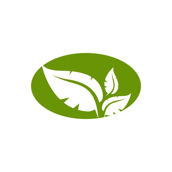 Natuurlijke Blad Pictogram Logo Ontwerp Vector Template — Stockvector