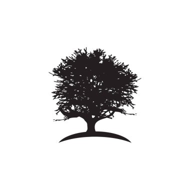 Oak tree logo design vector template