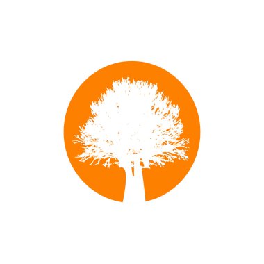 Oak tree logo design vector template