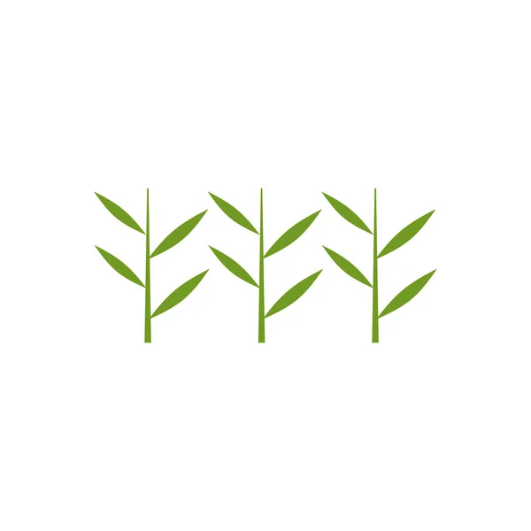 Bambu Árvore Logotipo Design Vetor Modelo — Vetor de Stock