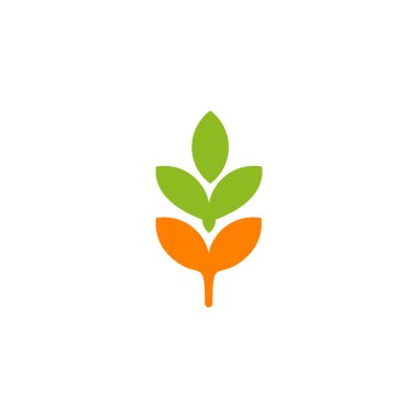 Buğday bitkisi logo tasarım vektör şablonu