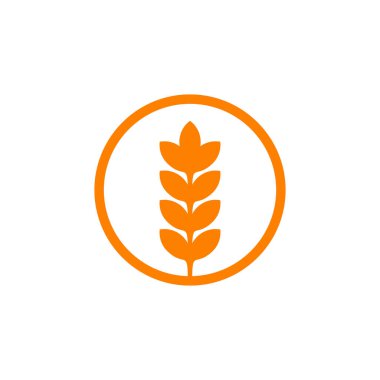 Buğday bitkisi logo tasarım vektör şablonu