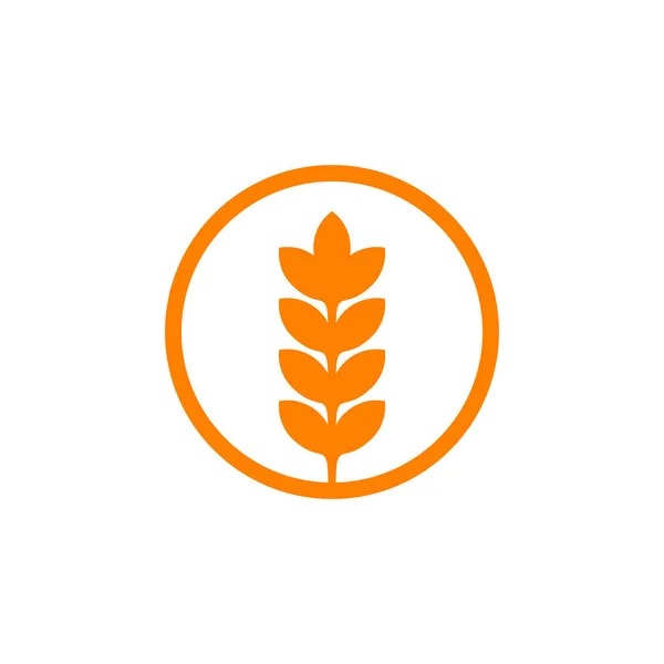 Wheat Plant Logo Design Vector Template — Stock Vector