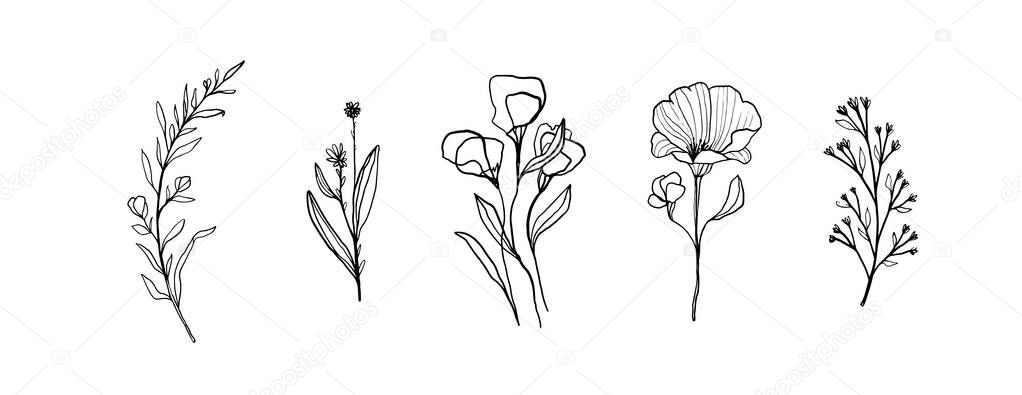 Vector Set Linear Sketches Twigs Leaves Design Wedding Cards Greeting Vector Graphics