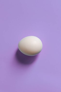 Paskalya konsepti. Pastel renklerde pembe arka planda beyaz yumurta. Tavuk yumurtladı. Doğal organik ürünler. Metin için alanı kopyala.