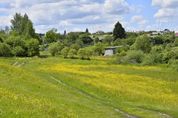 Yol ve çayır çiçekli evleri ile kırsal manzara — Stok fotoğraf