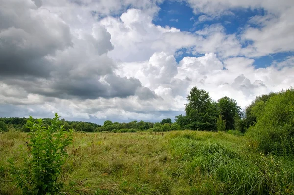 Sommar landskap med låga moln — Stockfoto