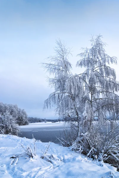 Winterlandschaft mit Bäumen, Raureif und See — Stockfoto