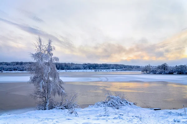 Paysage hivernal avec lac et arbres couverts de givre — Photo