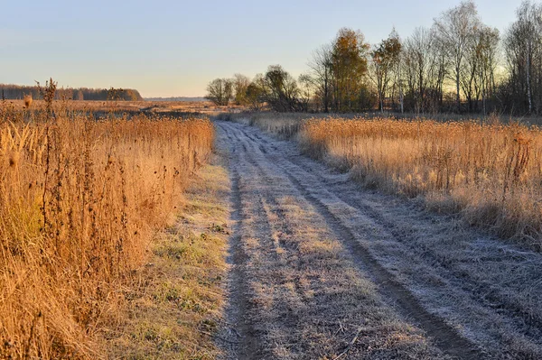 Rural landscape with autumn frost — Stock Photo, Image