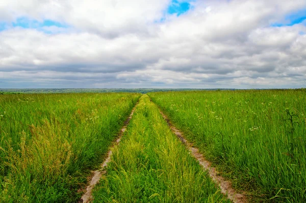 Dirt road on the green field to the horizon — Stock Photo, Image