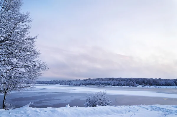 Paysage hivernal avec lac et arbres couverts de givre — Photo