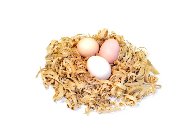 Hühnereier in einem Nest aus Holzspänen — Stockfoto