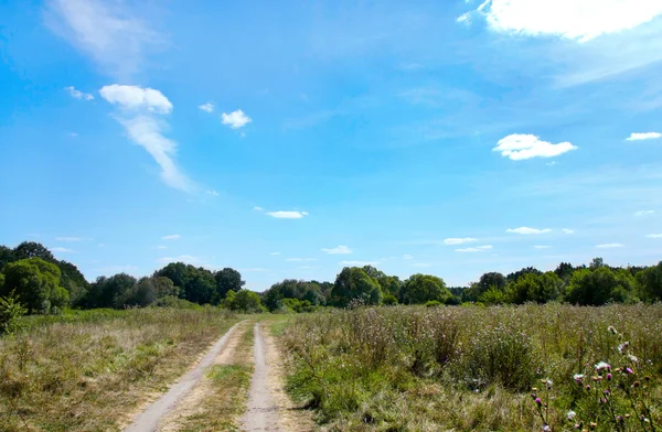 Пейзаж с грунтовой дорогой в сельской местности — стоковое фото