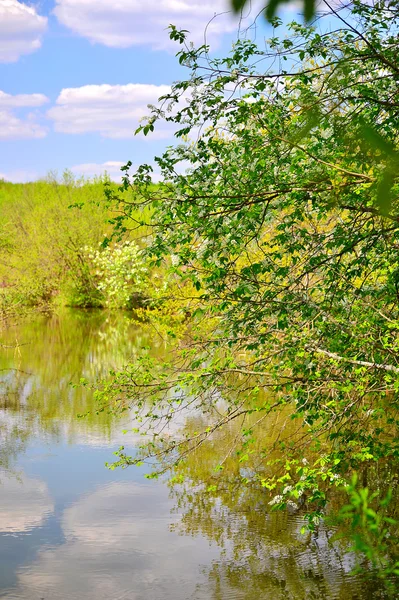 Frühlingslandschaft mit dem Fluss — Stockfoto