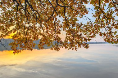 dalları ile sonbahar yaprakları Nehri üzerinde