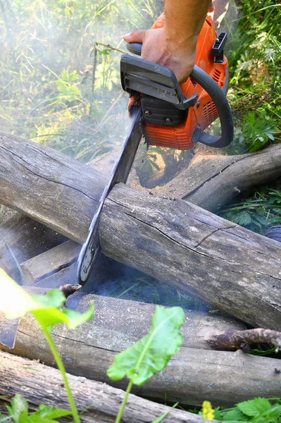 Motosserra cortar troncos de madeira — Fotografia de Stock