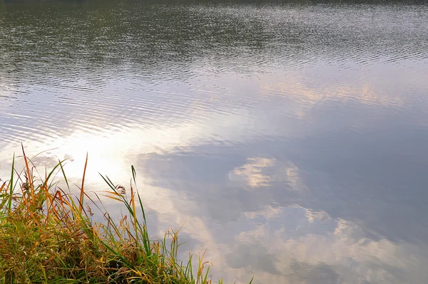 Herbst Wasserhintergrund mit Reflexion der Wolken im Wasser und g — Stockfoto