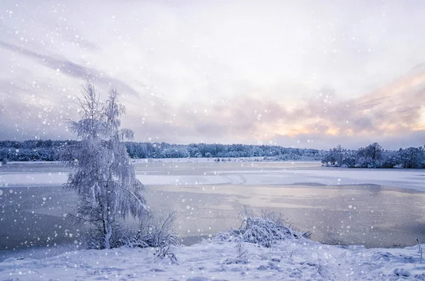 Paysage hivernal avec lac et arbre dans le gel avec chute sn — Photo