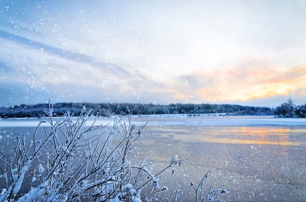 Paesaggio invernale con lago e alberi ricoperti di gelo — Foto Stock