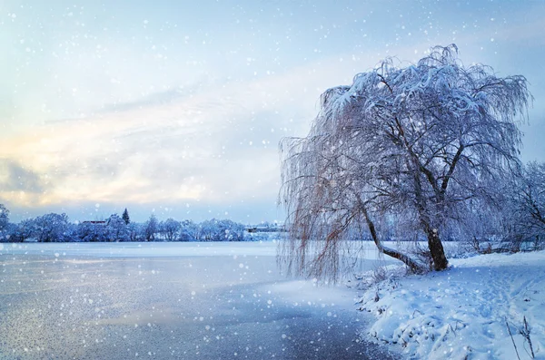 Winter landscape with lake and tree in the frost with falling sn — Stock Photo, Image