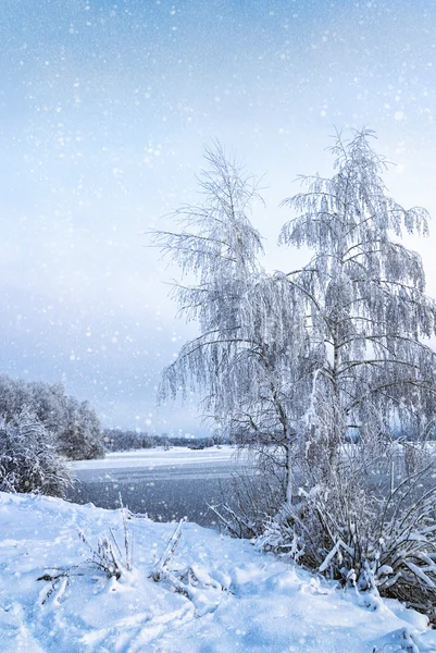 Paysage hivernal avec arbres, couvert de givre et lac — Photo