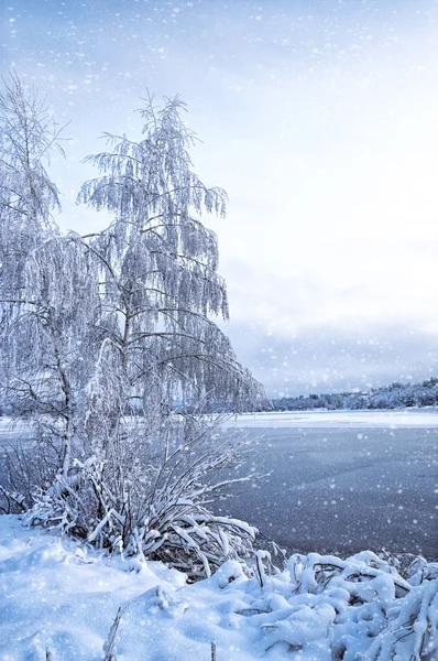 Winterlandschaft mit Bäumen, Raureif und See — Stockfoto