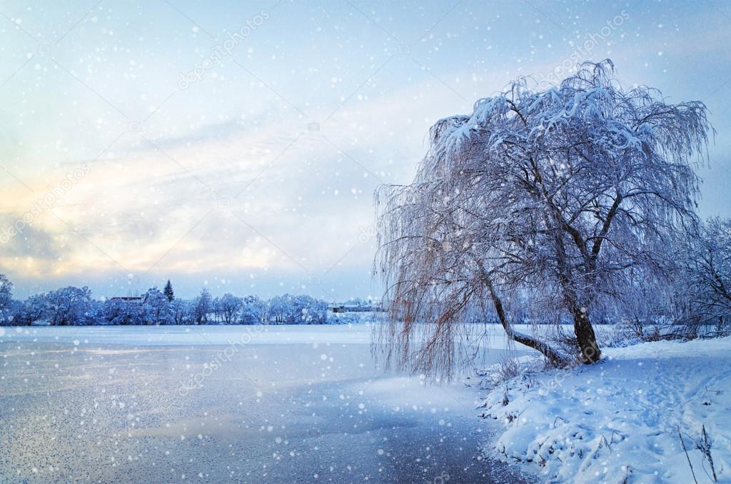 Winter landscape with lake and tree in the frost with falling sn