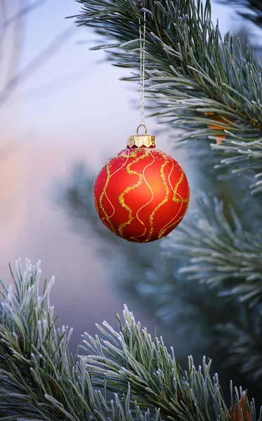 The red sphere hangs on a fir-tree close up — Stock Photo, Image