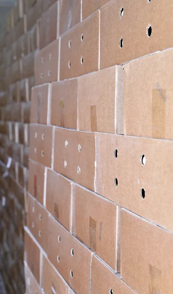 Cardboard packing boxes in a warehouse, background — Stock Photo, Image