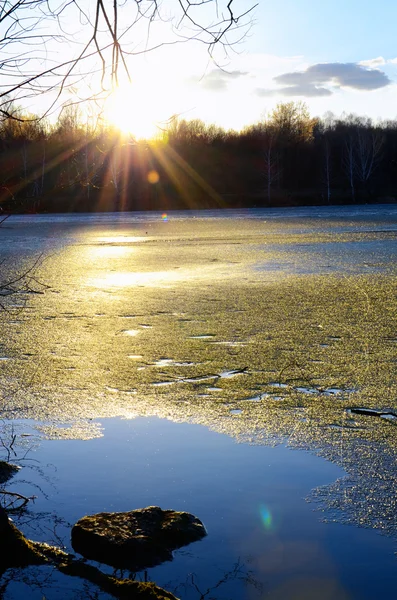 Spring landscape with melting ice on the lake on a clear day — Stock Photo, Image