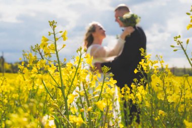 Çiçek açmış güzel bir kolza tohumu tarlası, yumuşak bir gökyüzünün altında araziye yayılıyor. Uzakta, bir gelin ve damat birlikte durur ve altın sahneye romantik bir dokunuş eklerler..