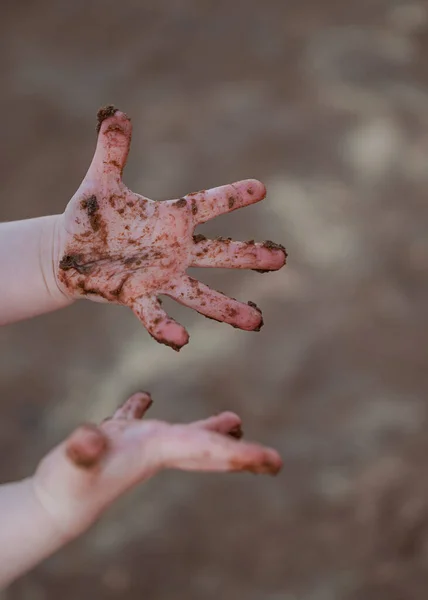Kirli ellerle küçük çocukların yakın çekimi. Basit ve doğal kompozisyon çocukluk keşiflerini yakalıyor ve masumiyet, öğrenme ve merak kavramları için mükemmel oynuyor..