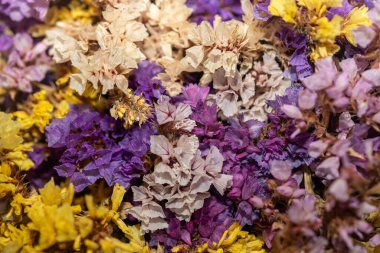 Renkli kurumuş yabani çiçeklerin yakın çekimi zengin bir doğal arkaplan yaratır. Mor, sarı ve yumuşak bej tonlarında ayrıntılı çiçek dokusu botanik tasarım, arka plan, duvar kağıtları, ambalaj, refah ve doğa temalı projeler için uygundur..