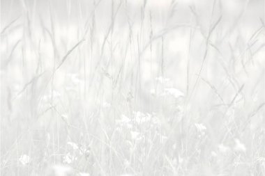 Yumuşak dokusu ve geniş kopyalama alanı olan minimal ışık arkaplanı, metin, markalaşma, web tasarımı ve sunumlar için uygun.