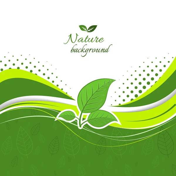 Nature background with green leaves. — Stock Vector