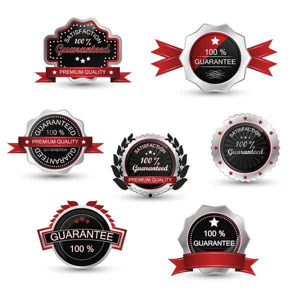 Labels set. Silver guarantee badge, vector emblem and symbol. — Stock Vector