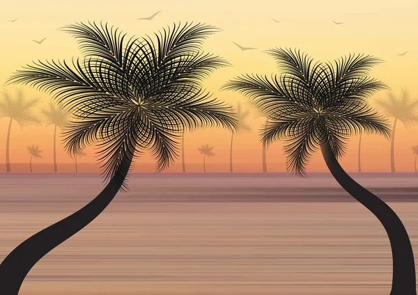 Fondo de verano. Puesta de sol con palmeras y gaviota — Vector de stock