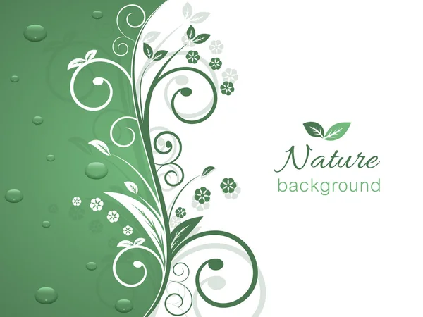 Nature vector background with spiral swirly pattern and water drops. — Stock Vector