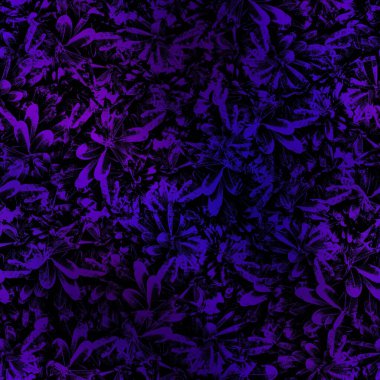 Miami gece tropikal siyah yapraklar gün batımı bulanıklığında