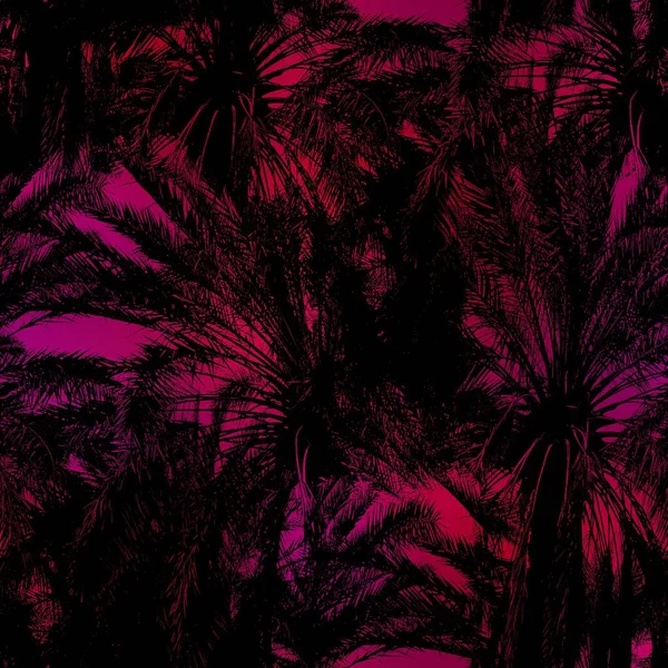 迈阿密夜晚的热带黑叶落日朦胧 — 图库照片