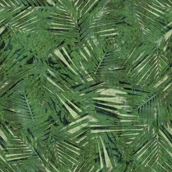 Pohon palem tropis hijau meninggalkan pola yang mulus — Stok Foto