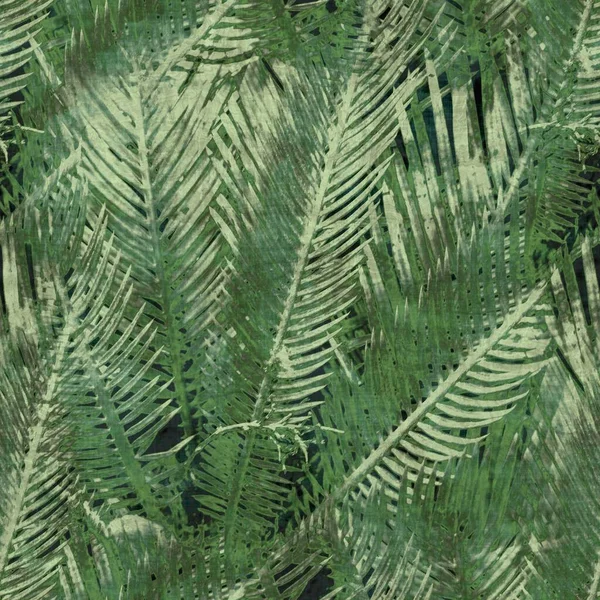 Yeşil tropikal palmiye yaprakları pürüzsüz desen bırakır — Stok fotoğraf