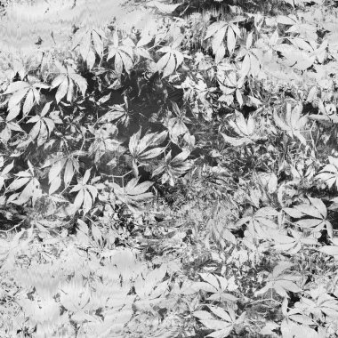 Siyah ve beyaz soyut grunge dokusu