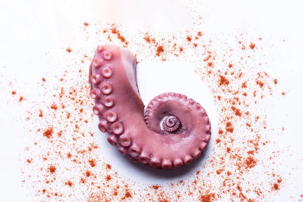 Tentacoli Polpo Stufato Isolato Sfondo Bianco Vista Dall Alto — Foto Stock