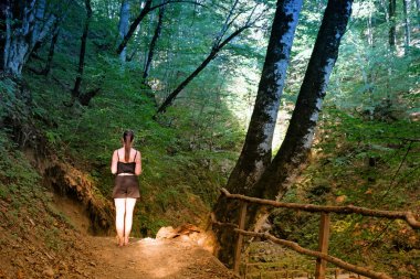 Ormanın en derin yerinde bir gezgin. Rosa Khutor Park, Sochi, Rusya 'da bir orman yolunda arkası dönük duran şortlu bir kız. Vahşi doğa macerası