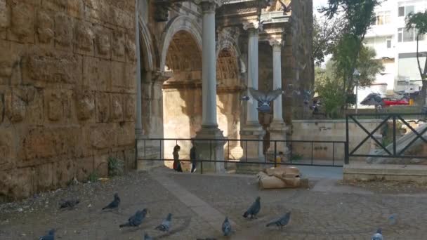 Una bandada de palomas picotea granos en el suelo cerca de la antigua puerta de los Hadrianos, Antalya, Turquía. Un rebaño de palomas de la ciudad despega en un día soleado. — Vídeos de Stock