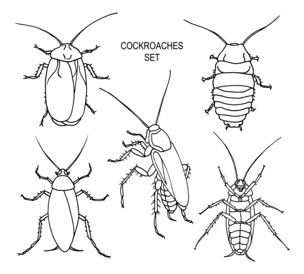 ゴキブリの害虫のセット、ゴキブリの輪郭ベクトルイラスト、トップビューとボトムビュー. — ストックベクタ