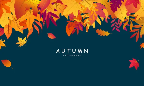 Autumn Falling Leaves Background Vector Template — Stock Vector